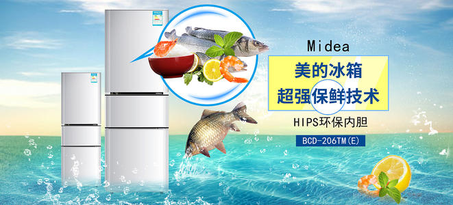 新罕布什尔大学成绩单电子图